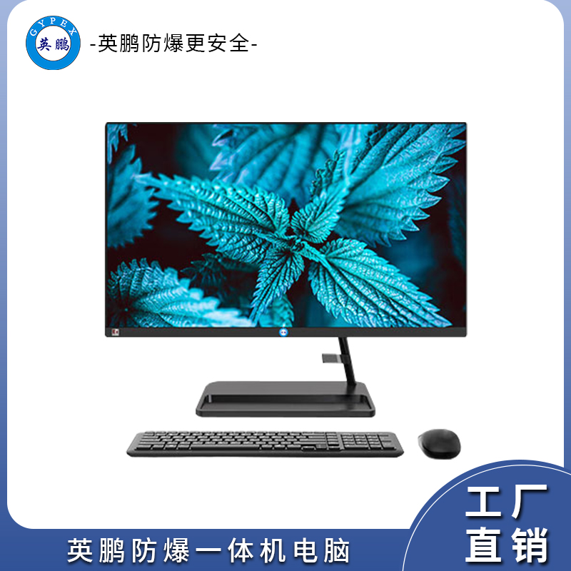 防爆一体机电脑广东防爆一体机电脑EXDN-Y-i3A01